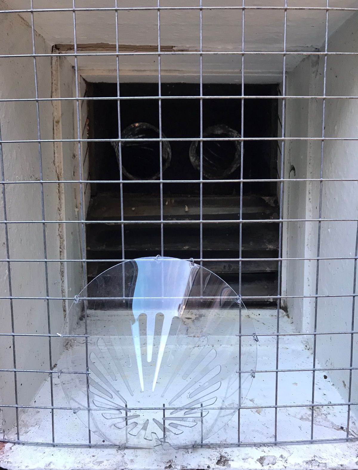 Rope Access Bird Spikes in London