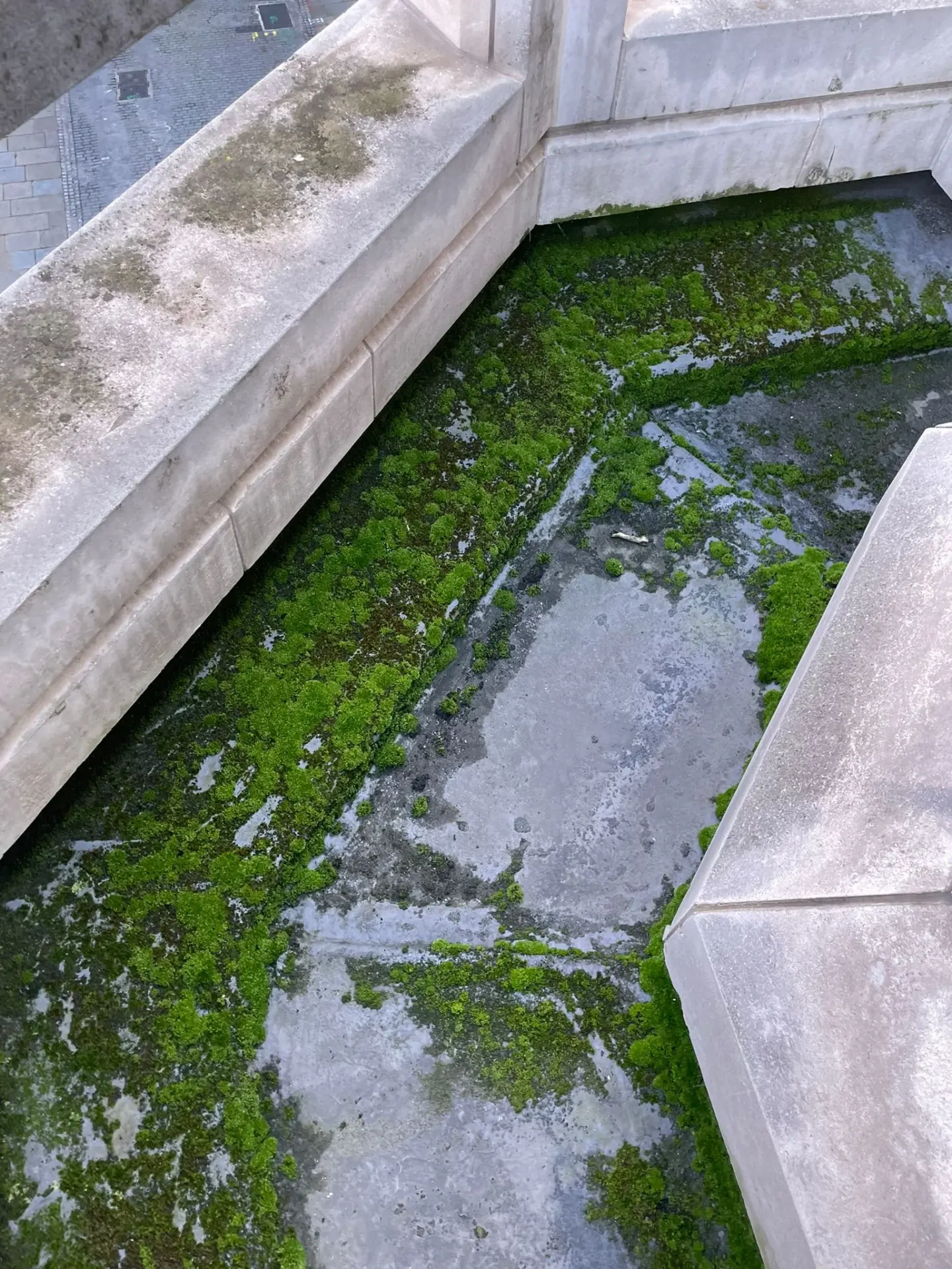 Gutters, downpipes, hoppers, gullies and drain cleaning via rope access method